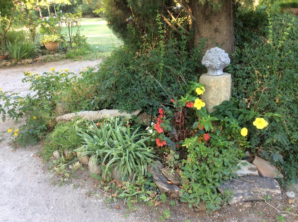 Villa La Petite Seigneurette Villeneuve-lès-Avignon Exterior foto